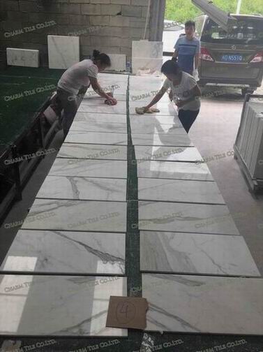 Calacatta tiles-3Model:Size: